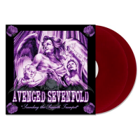 Виниловая пластинка Avenged Sevenfold / Sounding The Seventh Trumpet (Red) (2LP)