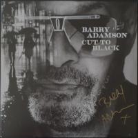 Виниловая пластинка Barry Adamson / Cut To Black (1LP)