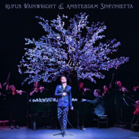Виниловая пластинка Rufus Wainwright / Rufus Wainwright and Amsterdam Sinfonietta (Live) (1LP)