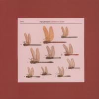 Виниловая пластинка Liftmen / Luftwaffe Pond (1LP)