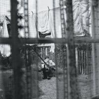 Компакт-диск Paul McCartney / Chaos And Creation In The Backyard (CD)