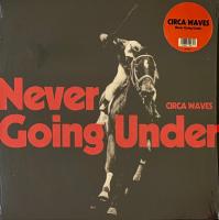 Виниловая пластинка Circa Waves / Never Going Under (1LP)