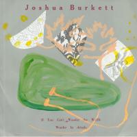 Виниловая пластинка JOSHUA BURKETT / IF YOU CAN T WANDER THE WAFFLE WONDER IN DRIZZLE (1LP)
