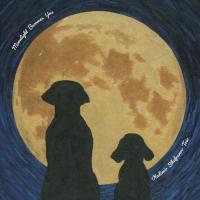 Виниловая пластинка Vladimir Shafranov / Moonlight Becomes You (Japan, Limited) (1LP) Виниловая пластинка Vladimir Shafranov / Moonlight Becomes You (Japan, Limited) (1LP)