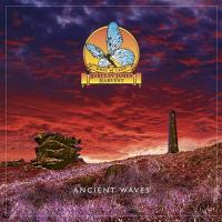 Виниловая пластинка LEES JOHN BARCLAY JAMES HARVEST / ANCIENT WAVES (1LP)