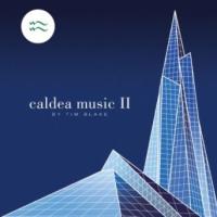 Компакт-диск Tim Blake / Caldea Music II (Jewel) (1CD)