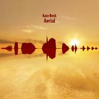 Виниловая пластинка Kate Bush / Aerial (2LP)