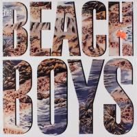Виниловая пластинка The Beach Boys / Beach Boys (LP)