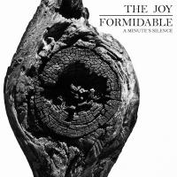 Виниловая пластинка FORMIDABLE JOY / THE JOY FORMIDABLE - RSD 2013 RELEASE (1LP)