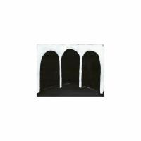 Виниловая пластинка These New Puritans / Crooked Wing (1LP)