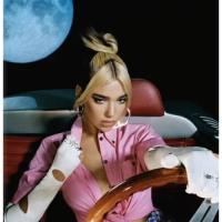 Виниловая пластинка Dua Lipa / Future Nostalgia (LP)