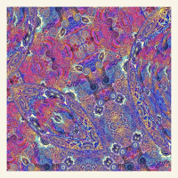 Виниловая пластинка Carlos Nino / Placenta (2LP)