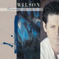 Компакт-диск Brian Wilson / Brian Wilson (CD)