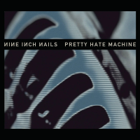 Виниловая пластинка Nine Inch Nails / Pretty Hate Machine (Etched) (2LP)