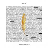 Виниловая пластинка Bear's Den / So That You Might Hear Me (LP)