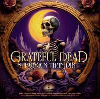 Виниловая пластинка Grateful Dead / Stronger than dirt (orange marble vinyl) (1LP)