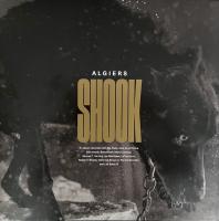 Виниловая пластинка Algiers / Shook (2LP)