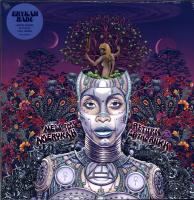 Виниловая пластинка ERYKAH BADU / NEW AMERIKAH PT.2: RETURN OF THE ANKH (2LP)