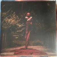Виниловая пластинка Bad Omens / Bad Omens (1LP)
