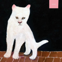 Виниловая пластинка Duster / Duster (Chocolate) (1LP)