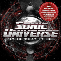 Виниловая пластинка Sonic Universe / It Is What It Is (1LP)