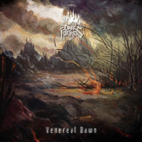 Виниловая пластинка Dark Fortress / Venereal Dawn (coloured) (1LP)