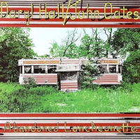 Виниловая пластинка Daryl Hall & John Oates / Abandoned Luncheonette (45 RPM, Limited) (2LP) Виниловая пластинка Daryl Hall & John Oates / Abandoned Luncheonette (45 RPM, Limited) (2LP)