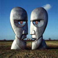 Виниловая пластинка Pink Floyd / Division Bell (2LP)