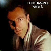 Виниловая пластинка Hammill Peter / Enter K (1LP)