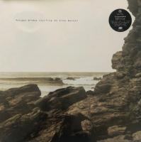 Виниловая пластинка Polygon Window / Surfing On Sinewaves (3LP)