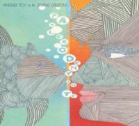 Виниловая пластинка Andrea TICH / Andrea Tich E Le Strane Canzoni - Limite (1LP)