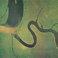 Виниловая пластинка Dead Can Dance / The Serpent's Egg (LP) Виниловая пластинка Dead Can Dance / The Serpent's Egg (LP)