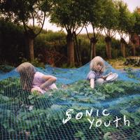 Виниловая пластинка Sonic Youth / Murray Street (1LP)