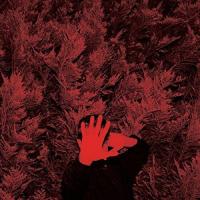 Виниловая пластинка Cory Hanson / The Unborn Capitalist From Limbo (LP)