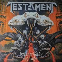 Виниловая пластинка Testament / Brotherhood Of The Snake (coloured) (1LP)