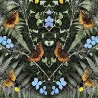 Виниловая пластинка Jean-Michel Blais / aubades (1LP)