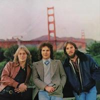 Виниловая пластинка America / Hearts (1LP)