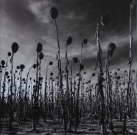 Виниловая пластинка DEAD CAN DANCE / ANASTASIS (2LP)