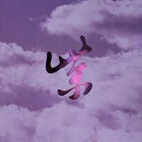 Виниловая пластинка Stone Temple Pilots / Purple Rarities (Purple) (1LP)