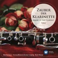 Компакт-диск Sharon Kam / Zauber Der Klarinette - Magic Of The Clarinet (1CD)