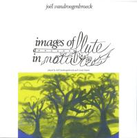 Виниловая пластинка Joel Vandroogenbroeck / Images Of Flute In Nature (1LP)
