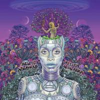 Компакт-диск Erykah Badu / New Amerykah Part Two: Return Of The Ankh (CD)