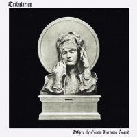 Компакт-диск Tribulation / Where The Gloom Becomes Sound (Limited Edition)(CD)
