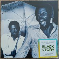 Виниловая пластинка Vivian Weathers / Bad Weathers (1LP)