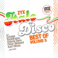 Виниловая пластинка VARIOUS ARTISTS / ZYX ITALO DISCO - BEST OF VOL 5 - ORANGE & GREY VINYL (2LP)