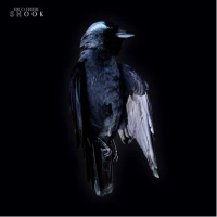Виниловая пластинка Rico Friebe / Shook (1LP)
