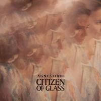 Виниловая пластинка Agnes Obel / Citizen Of Glass (LP)