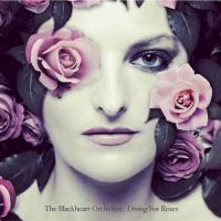 Виниловая пластинка BLACKHEART ORCHESTRA / DIVING FOR ROSES - MAGENTA VINYL (1LP)