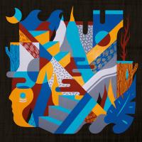 Виниловая пластинка Supergombo / Explorations (LP)