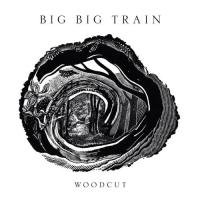 Виниловая пластинка Big Big Train / Woodcut (2LP)